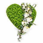 Groen rouwhart met witte anthuriums op witte achtergrond