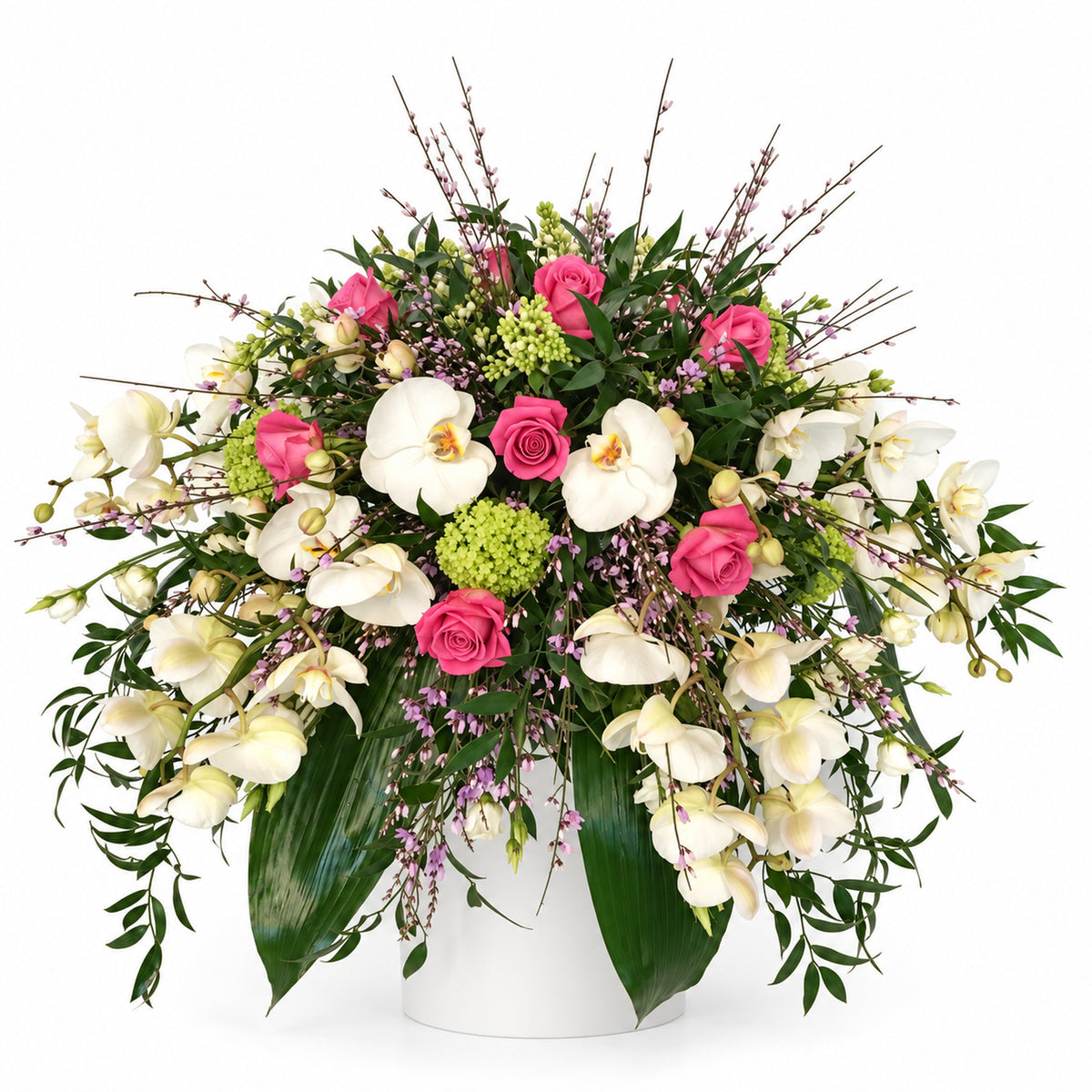 Bloeiende Geborgenheid — wit-roze — totaalbeeld