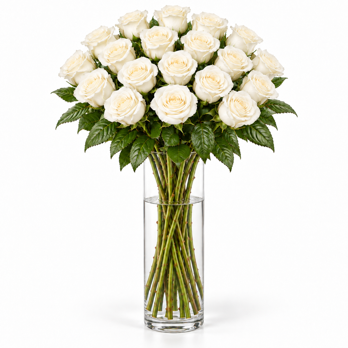 Bos verse witte rozen - 20 rozen, steellengte 70 cm