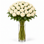 Bos verse witte rozen - 30 rozen, steellengte 70 cm