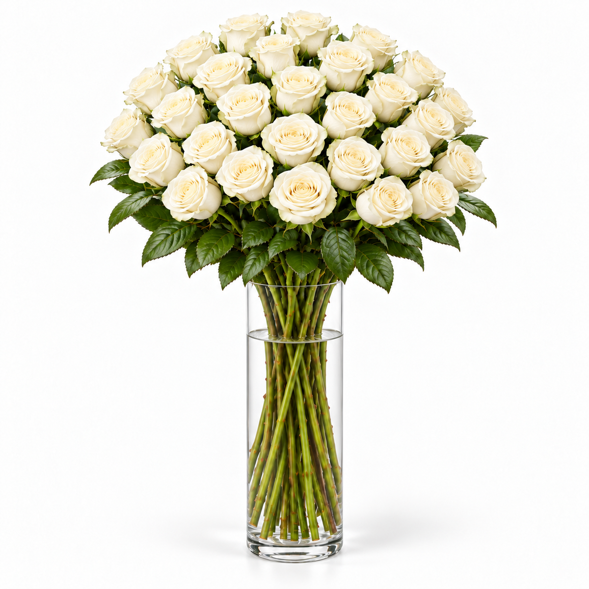 Bos verse witte rozen - 30 rozen, steellengte 70 cm