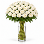 Bos verse witte rozen - 40 rozen, steellengte 70 cm