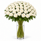 Bos verse witte rozen - 50 rozen, steellengte 70 cm