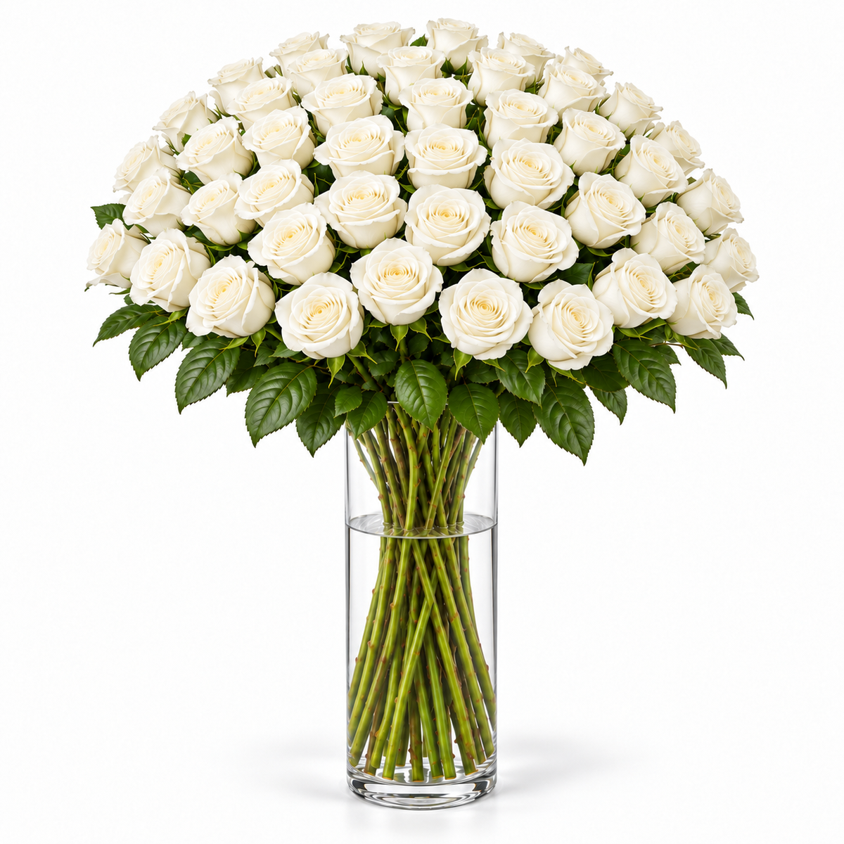 Bos verse witte rozen - 50 rozen, steellengte 70 cm