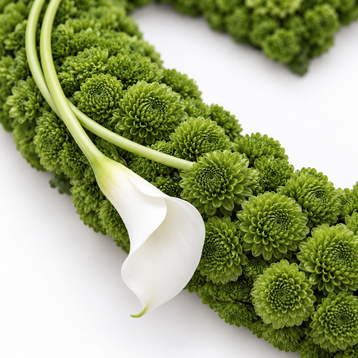 Detail van witte calla en groene chrysanten