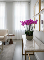 Orchidee Schaal Pars