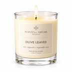 Olive Leaves geurkaars 180 g van Plantes & Parfums op witte achtergrond