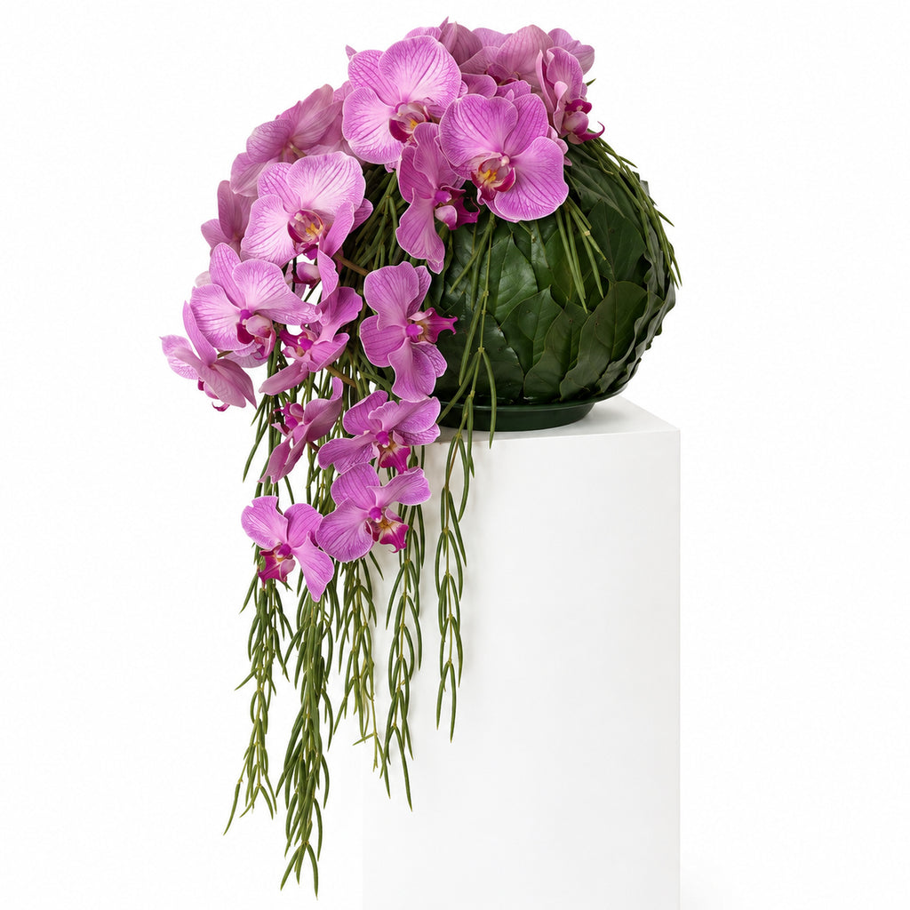 Zwevende Orchidee — rouwbloemstuk — links