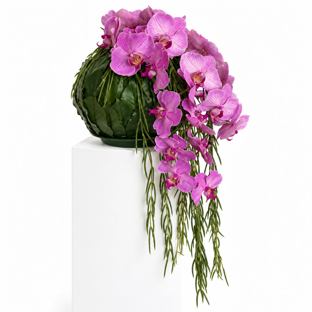 Zwevende Orchidee — rouwbloemstuk — rechts
