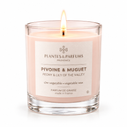 Pivoine & Muguet geurkaars 180 g van Plantes & Parfums op witte achtergrond
