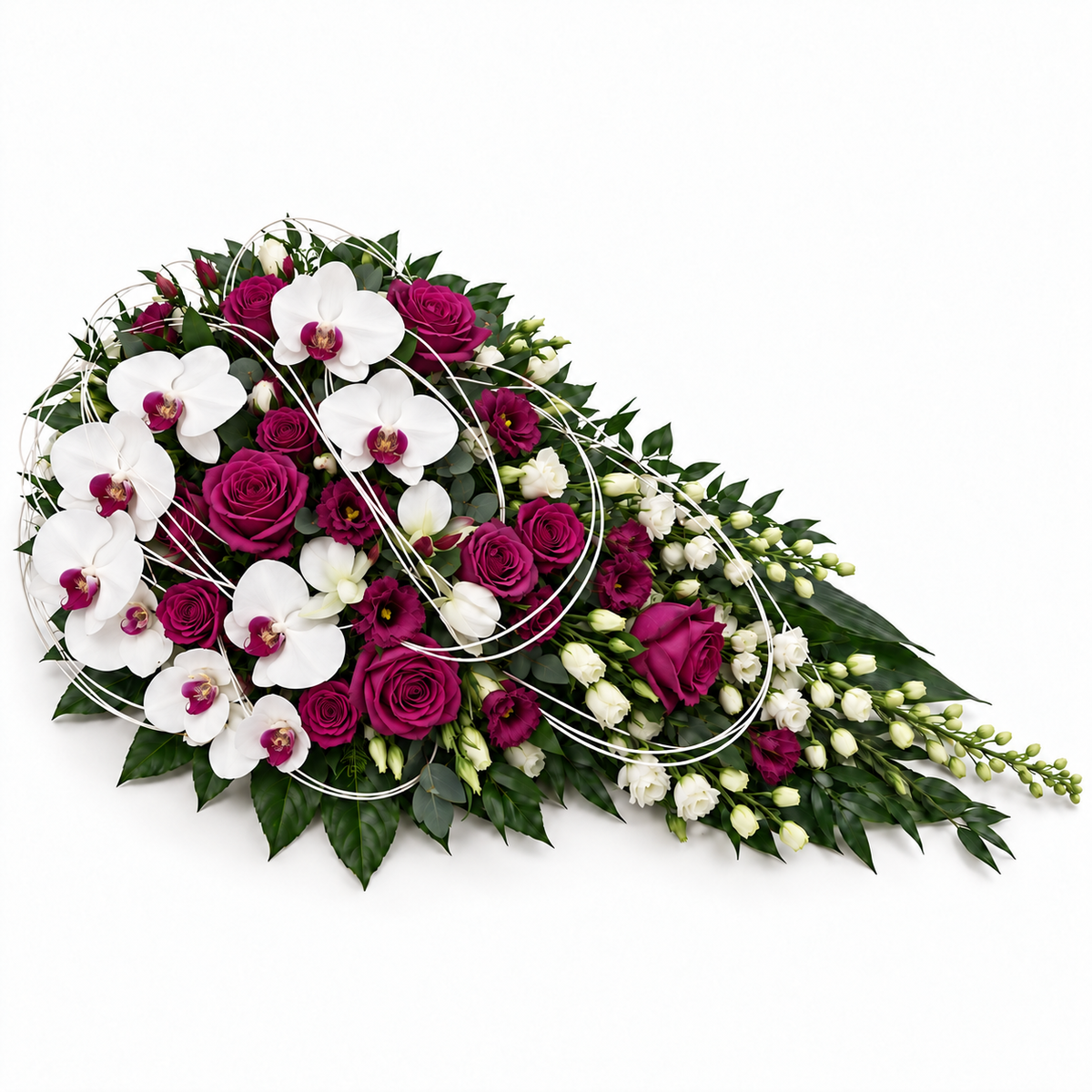 Sierlijke Troost — Wit-magenta — hoofdfoto