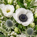 Veld van Herinnering Wit — detail bloemen