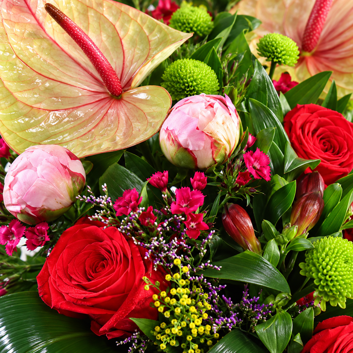 Veldboeket – bloemen van dichtbij