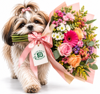 Verrassingsboeket van Bloemen Valentina met Shih Tzu op witte achtergrond
